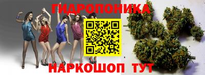 мяу мяу мука Бузулук