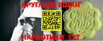 мяу мяу мука Бузулук