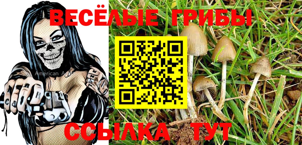 Галлюциногенные грибы ЛСД Назрань