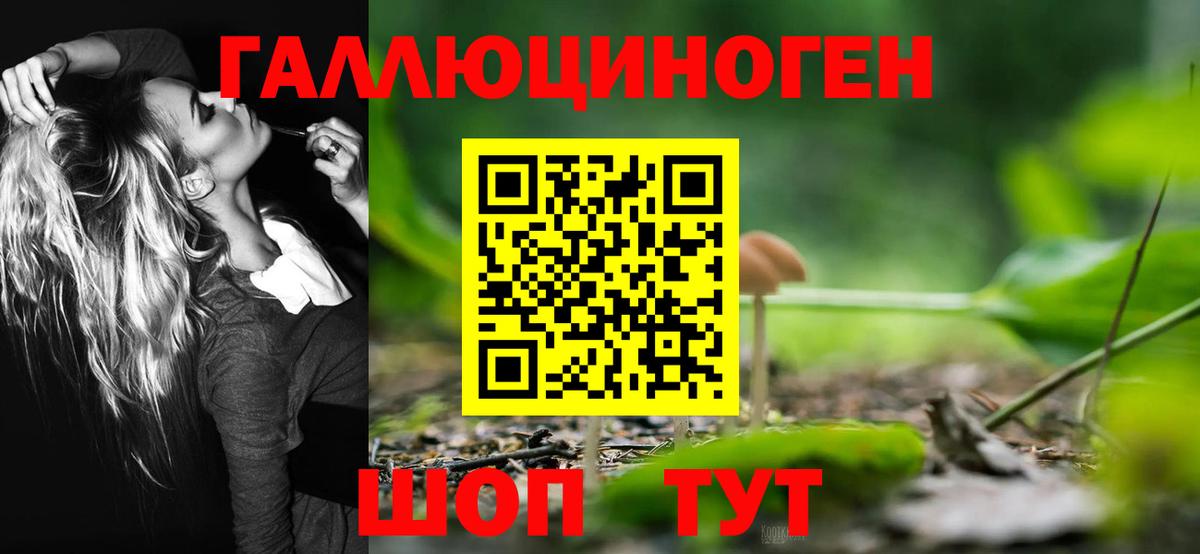 Галлюциногенные грибы мицелий  Вход с VPN  Назрань 