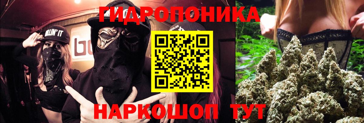 Конопля LSD WEED  Шишки марихуана конопля  МАРИХУАНА MAZAR  Назрань  Вход с VPN 